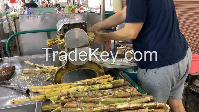 Fresh Sugarcane