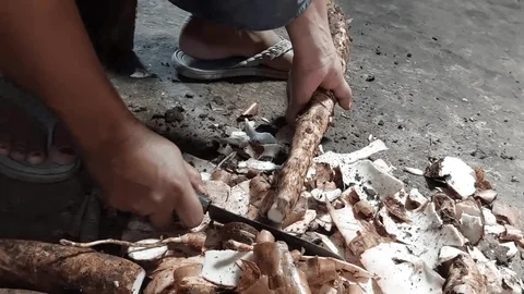 Dried Cassava Chips