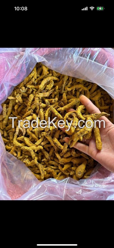 turmeric fresh , dry