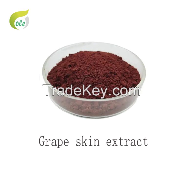 Top quality Grape skin extract Anthocyanins