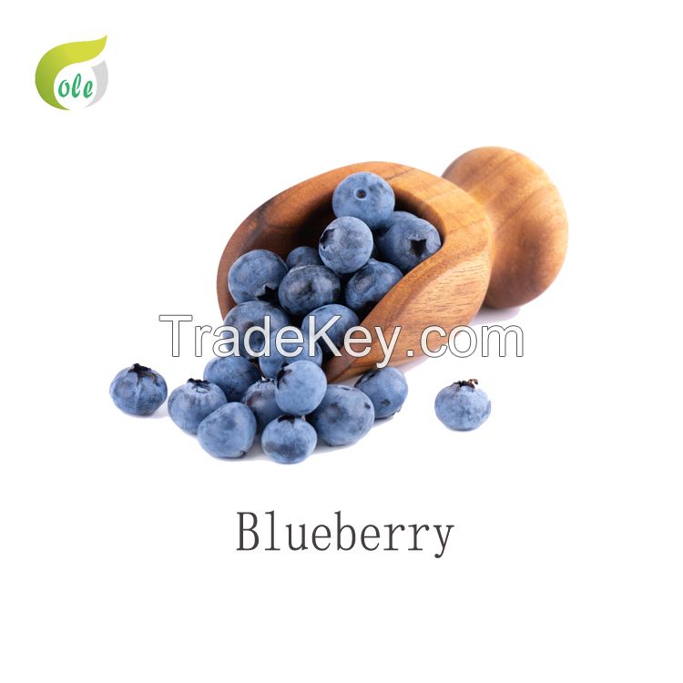 100% natural Blueberry powder extract