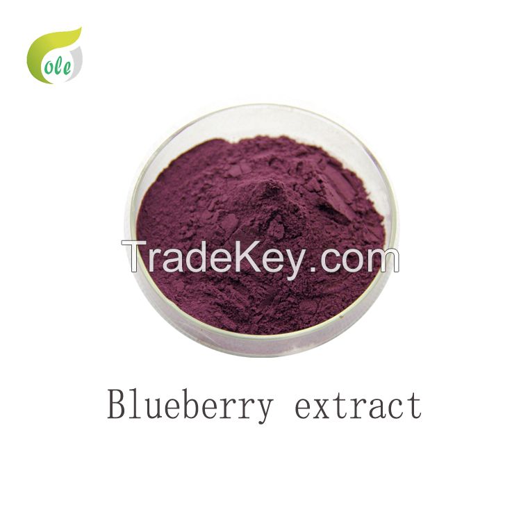 100% natural Blueberry powder extract