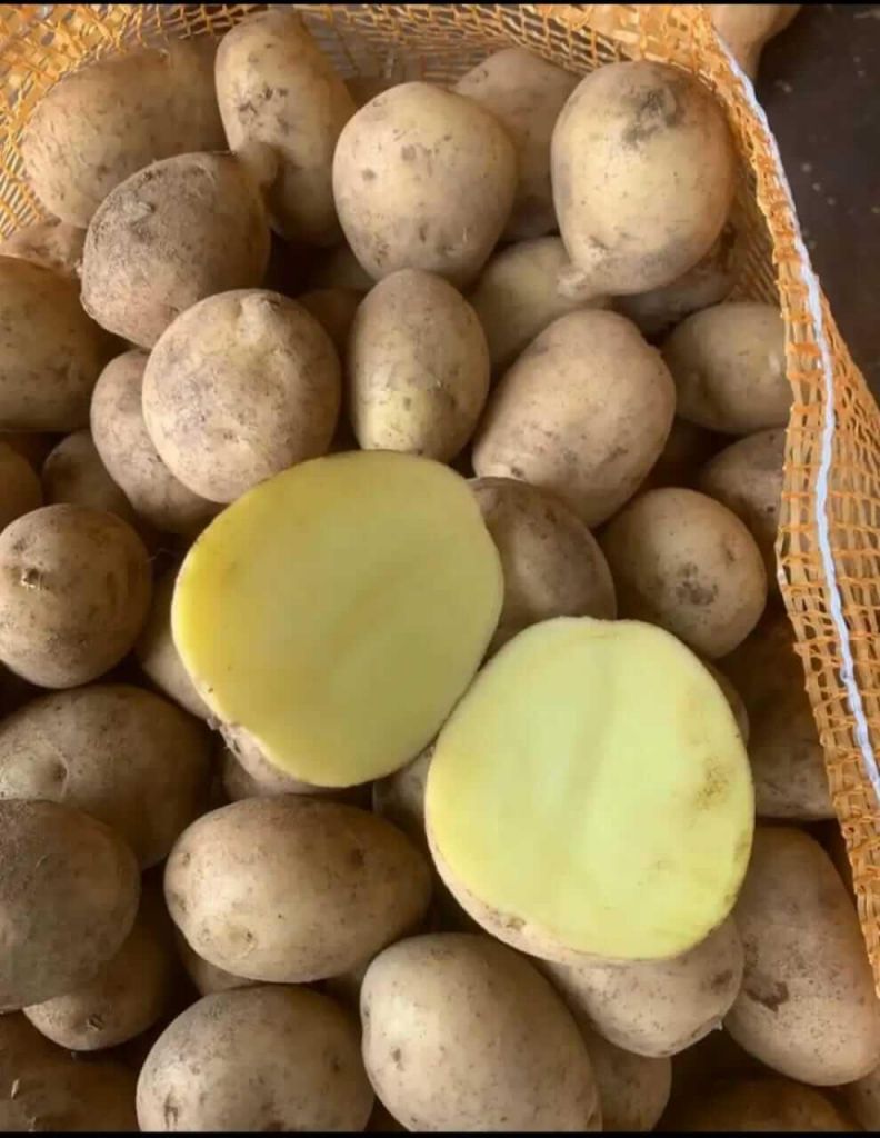 Potatos