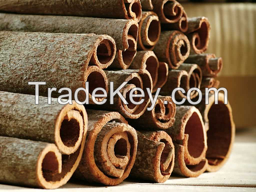 CASSIA CINNAMON