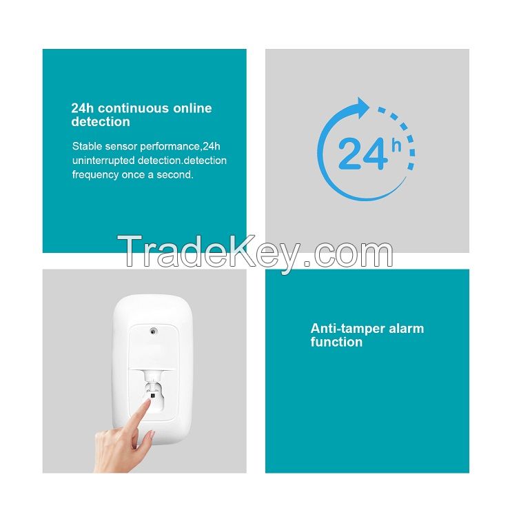 Wireless Motion Detector