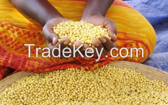 Soybeans (Glycine max)