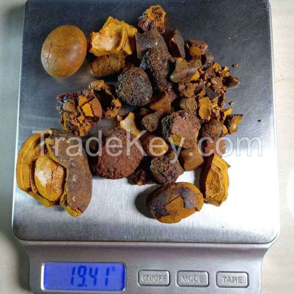  Gallstones Cow Ox Cattle Gallstones.