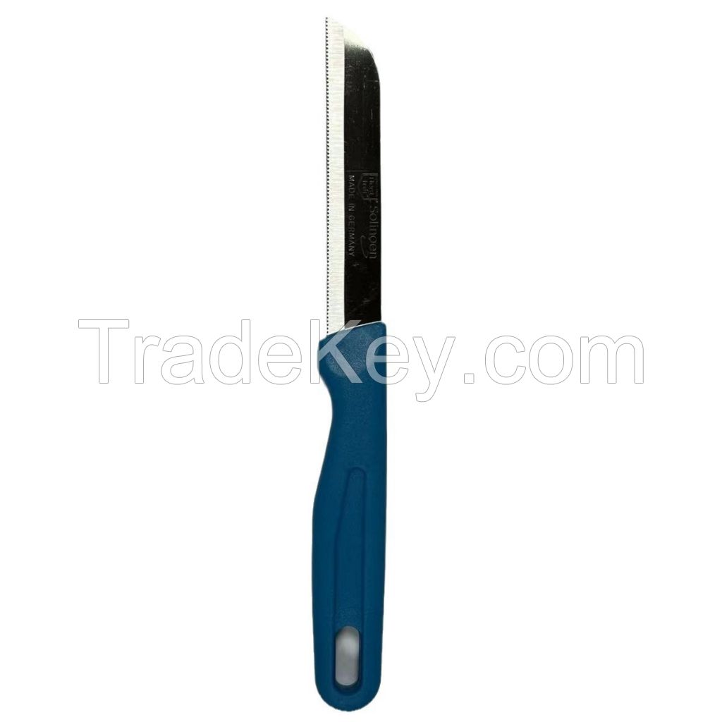 Fruit knife . Paring knife . Model Germany Solingen