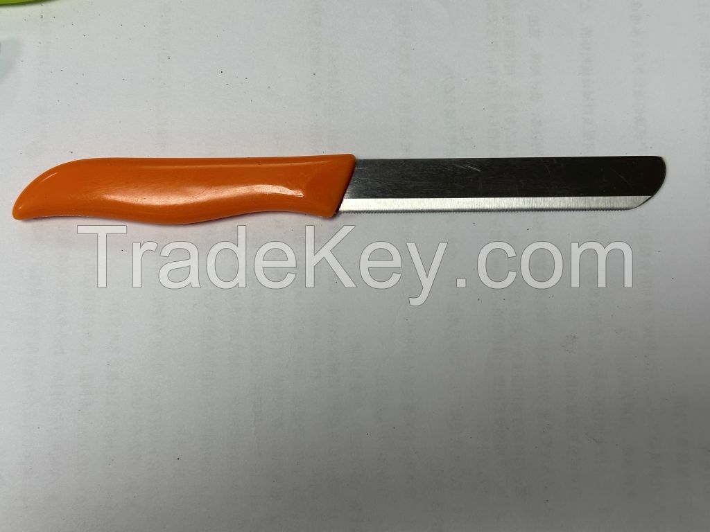 Fruit knife . Paring knife . Model Germany Solingen