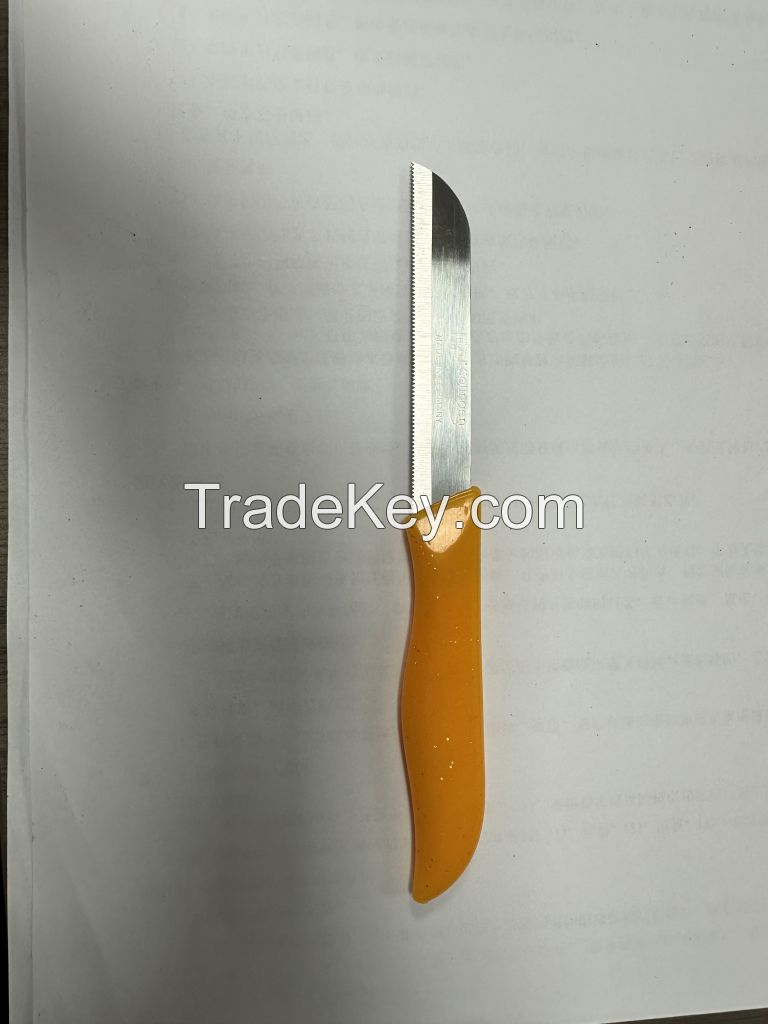 Fruit knife . Paring knife . Model Germany Solingen