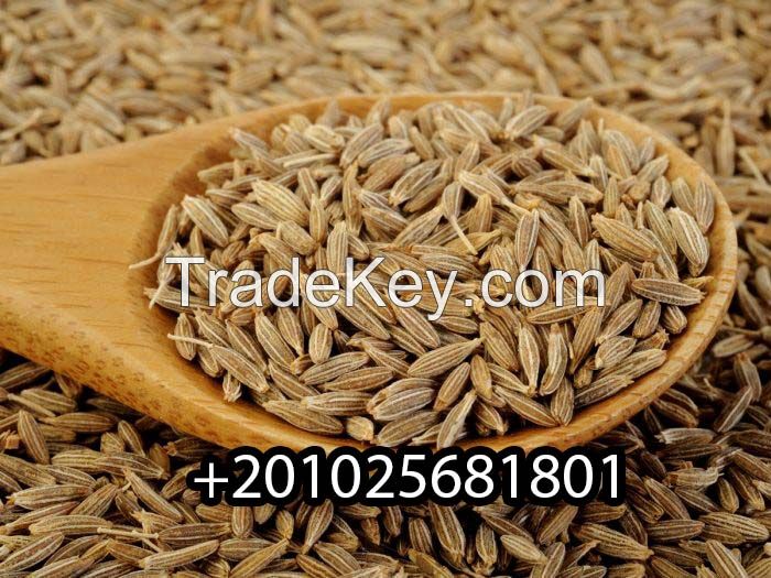 Cumin seeds