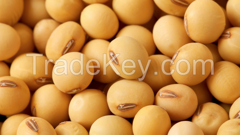 Soybeans