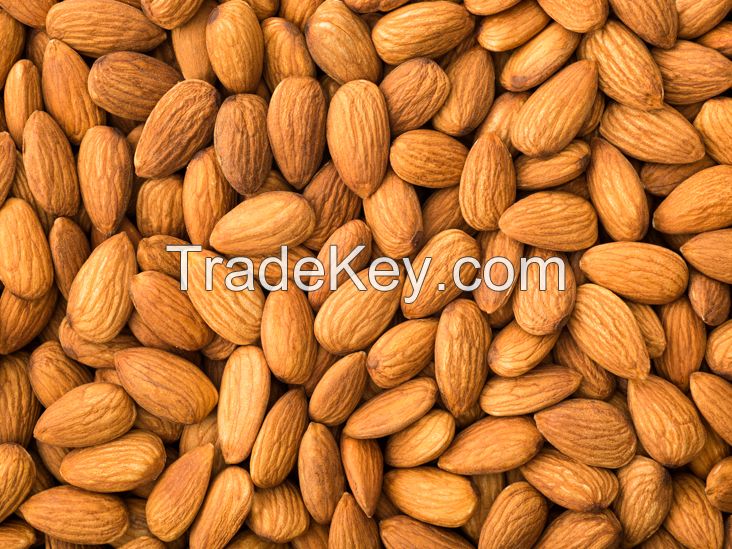 Almonds Nuts