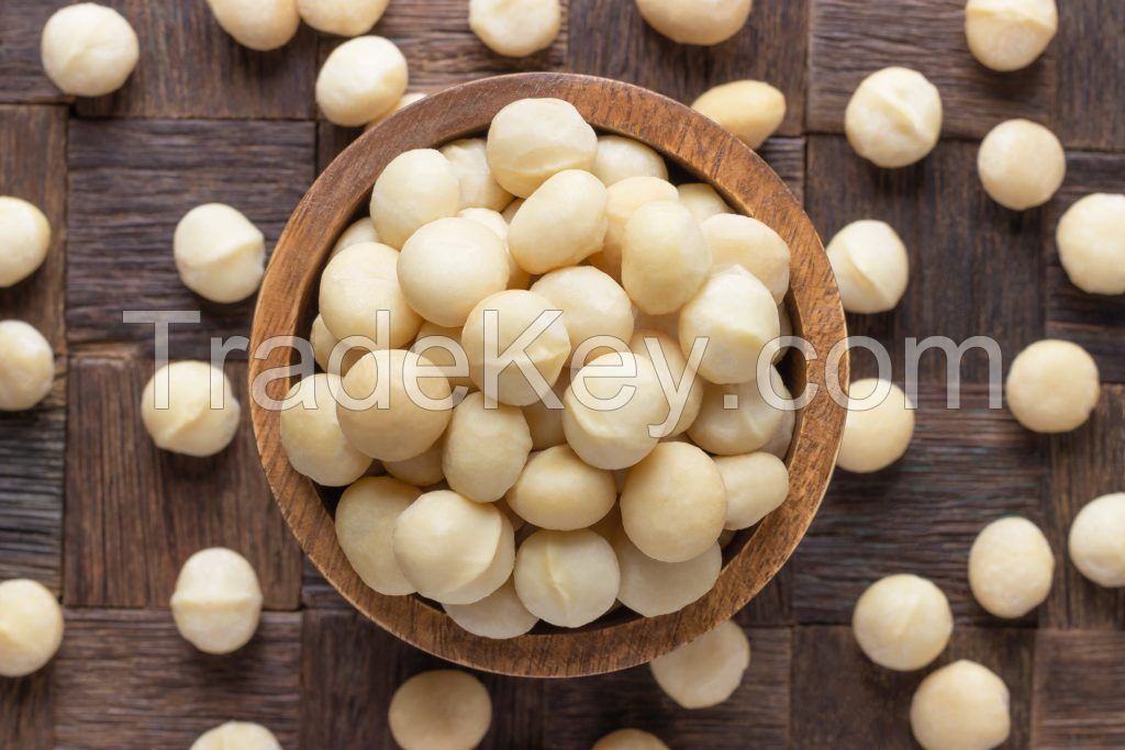 Macadamia Nuts