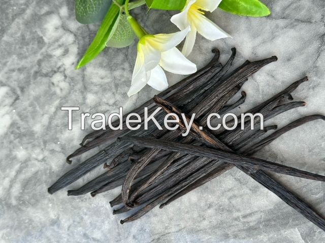 PLANIFOLIA VANILLA B GRADE