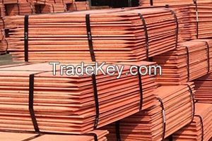 Copper Cathode