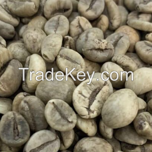 Green Arabica Coffee Beans / Brazilian Coffee Beans For Sale