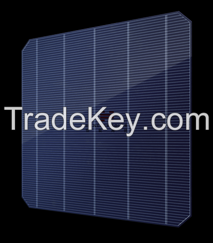 M10 182mm 16BB N type Topcon Solar Cells