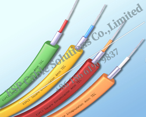 TEC cable(Tubing Encapsulated Cable)