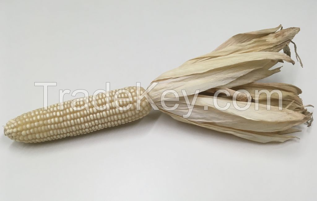 MyCorn