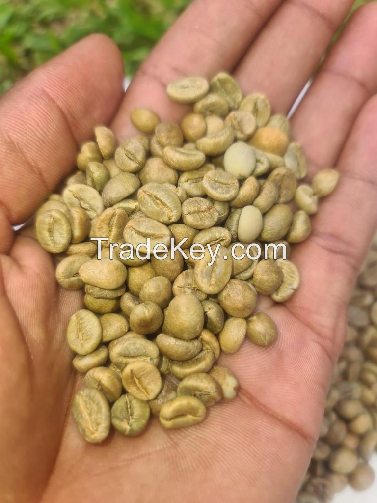 Green Coffee Beans Grade A