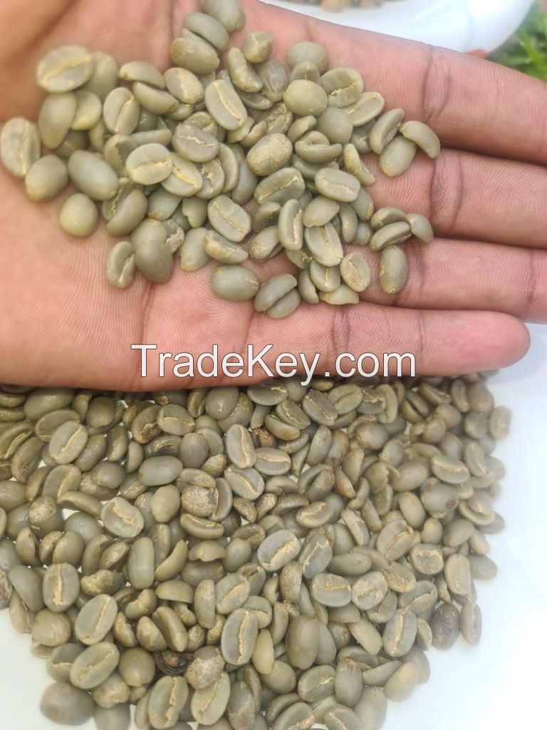 Green Coffee Beans Grade A