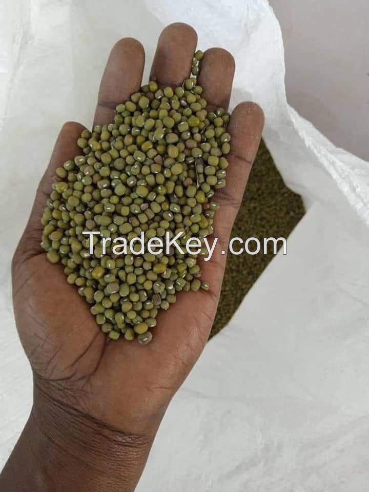 Green Mung Beans