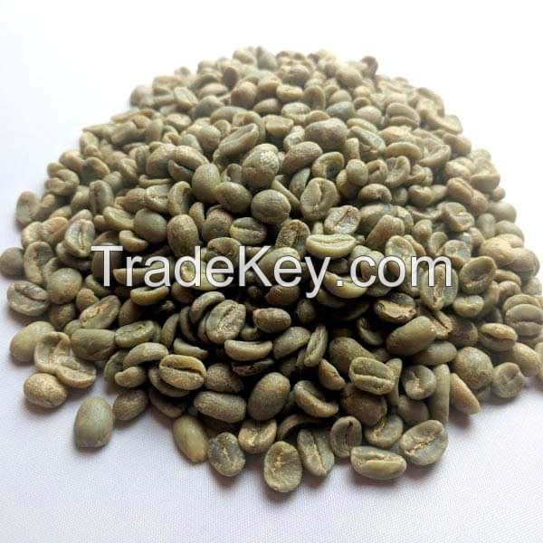 Green coffee  beans