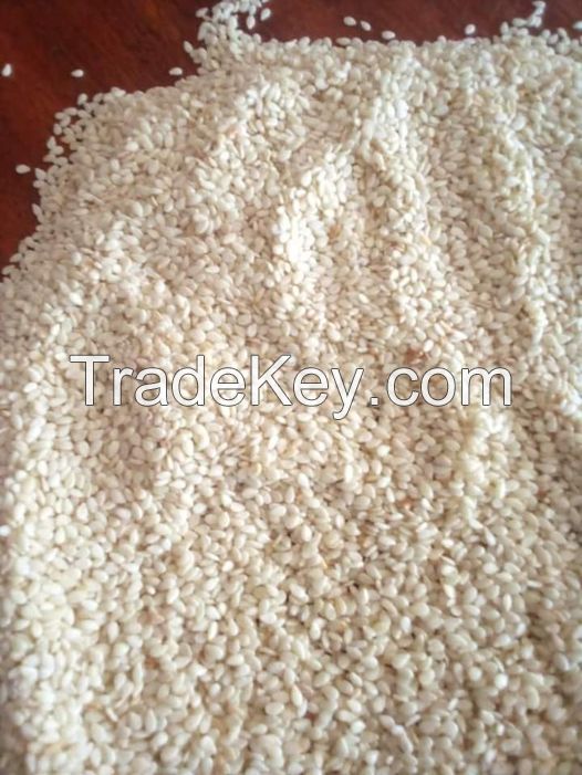 NATURAL / HULLED SESAME SEEDS