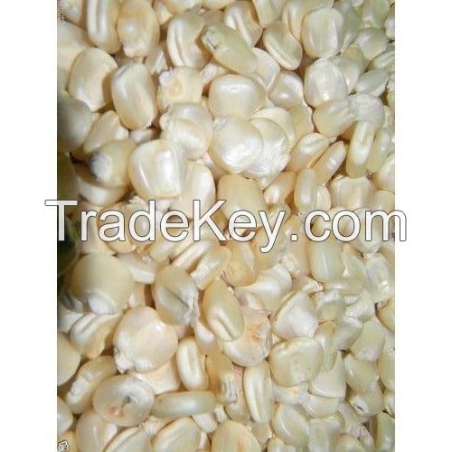 Grade 1 White Corn/Maize