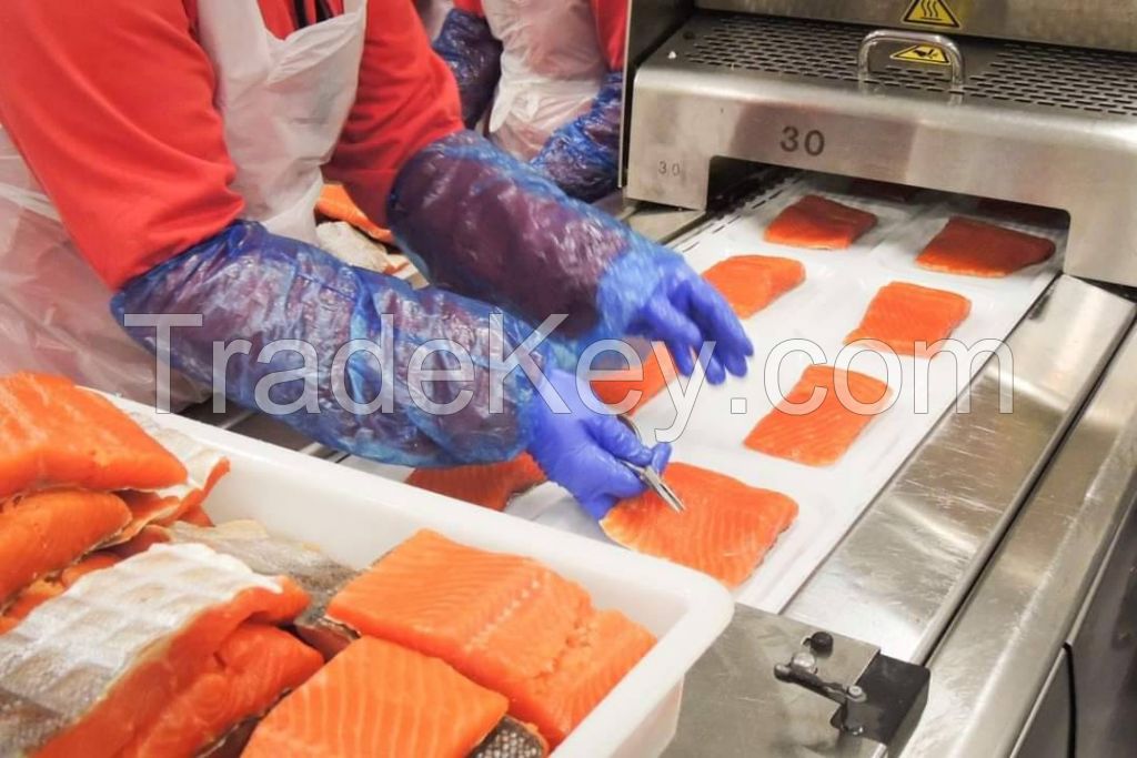 Fresh Salmon Fish Fillet