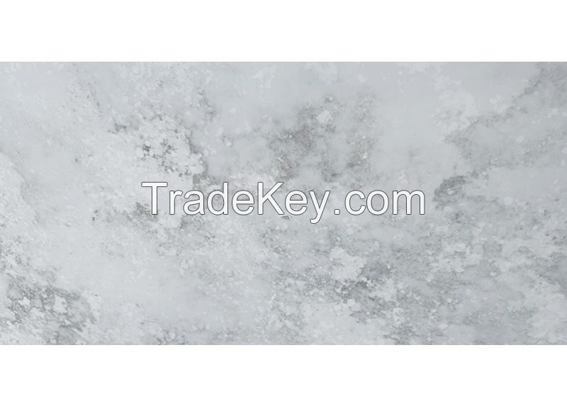 Gray Quartzite Countertop