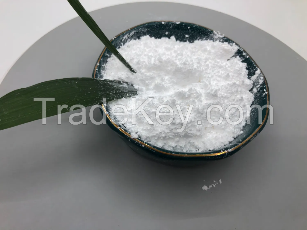 China Supplier Rutile/Anatase Type Nano Titanium Dioxide Powder TiO2 Powder