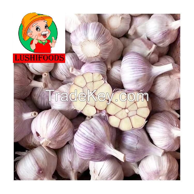 fresh garlic/garlic powder/peeled garlic