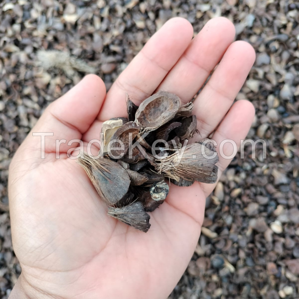 Palm Kernel Shell, GGL, Indonesia