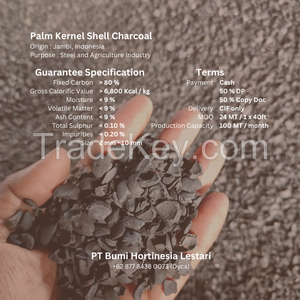 Palm Kernel Shell Charcoal