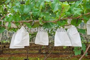  fruit protective bagsï¼ŒLoquat bag,Tomato bag, Guava bag