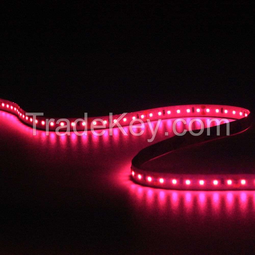 LED strip light 