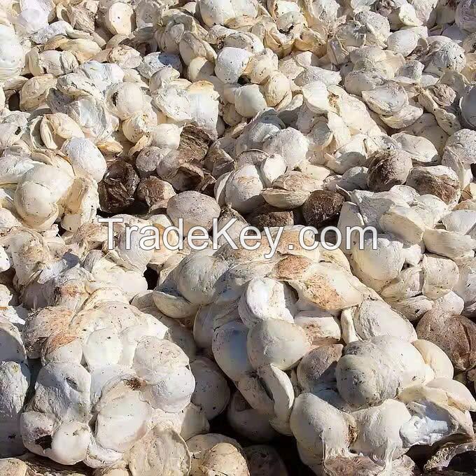 Cup Lump Origin Viet Nam DRC 70%