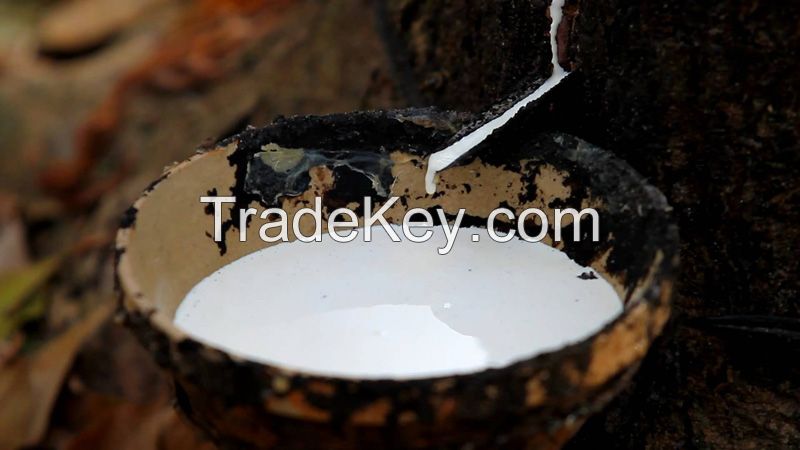 High Quality Natural Latex HA 60% DRC from Vietnam Best Price Liquid Rubber Raw Materials Fushi Vietnam