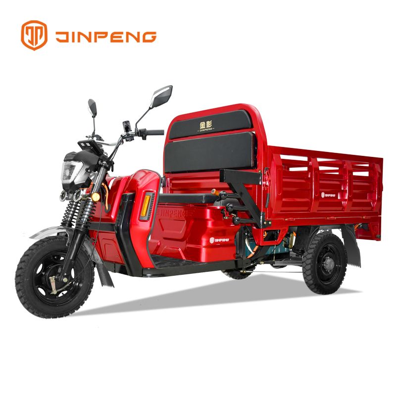 2024 New Producing Electric tricycle three wheel cargo bike OEM EEC certification