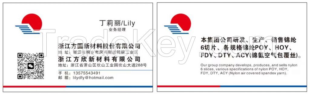 Pre-Oriented Yarn NYLON 6Â POY  FOR DTY AND ACY