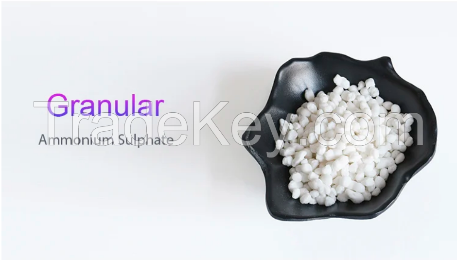 Agricultural grade ammonium sulphate granular 21 N