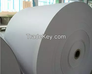 Food grade offset paper 55gsm 58gsm 68gsm 70gsm 78gsm100gsm wood free paper in Roll