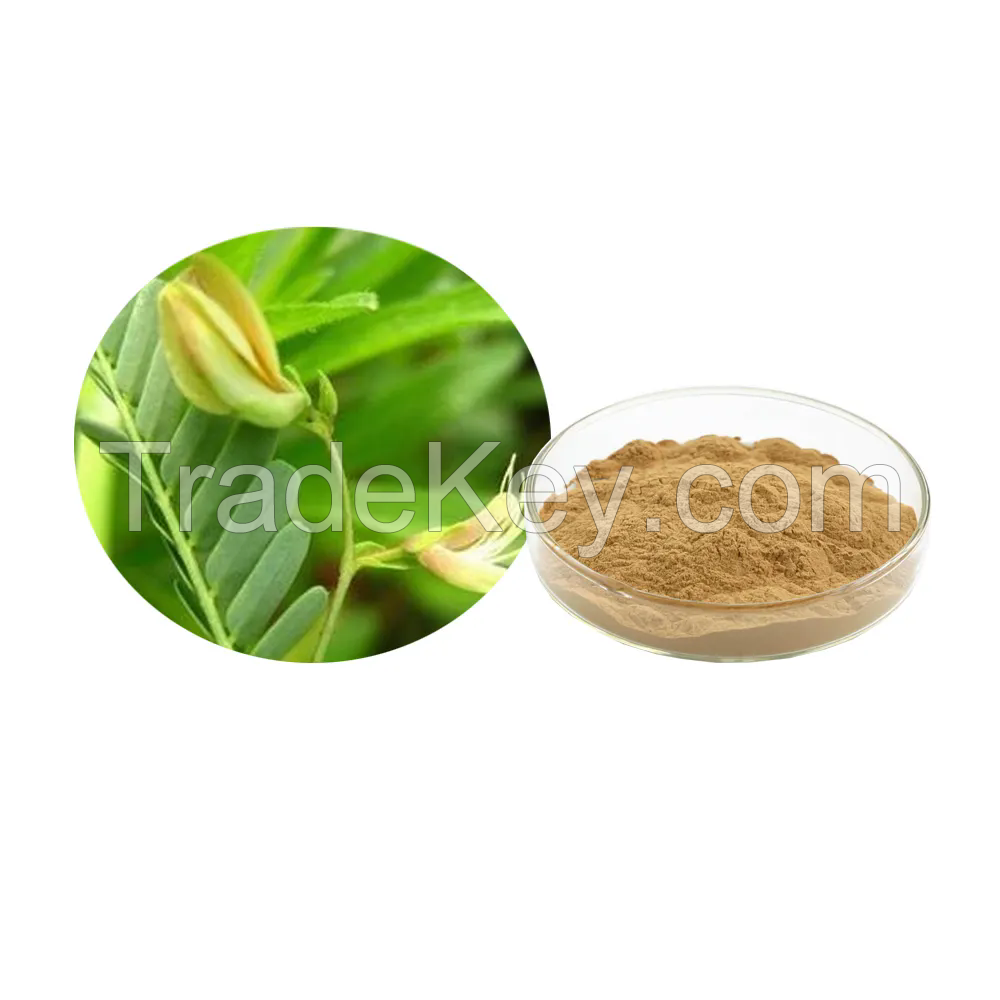 flavonols Cassia Nomame Extract Powder Cassia nomame (sibe.)Kitagawa Extract 20:1