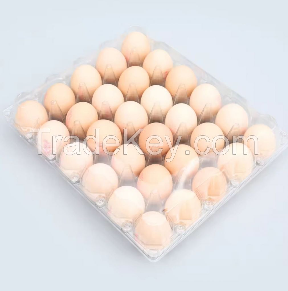 Plastic egg tray