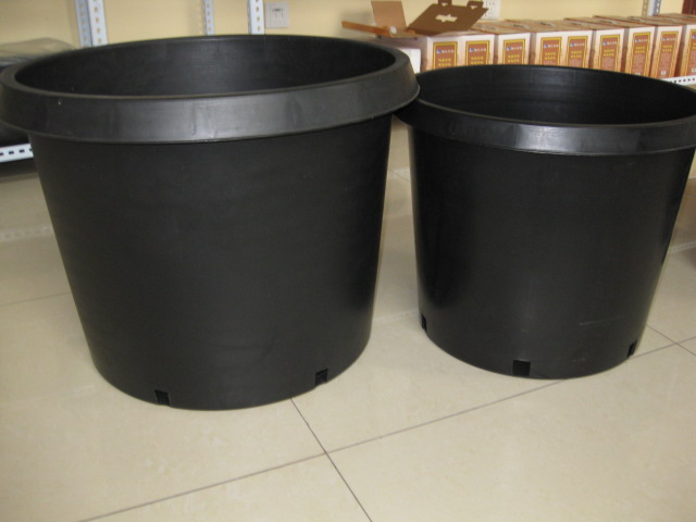 Garden Pots