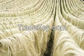 sisal fiber