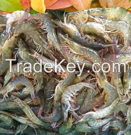 Indonesia Seafood