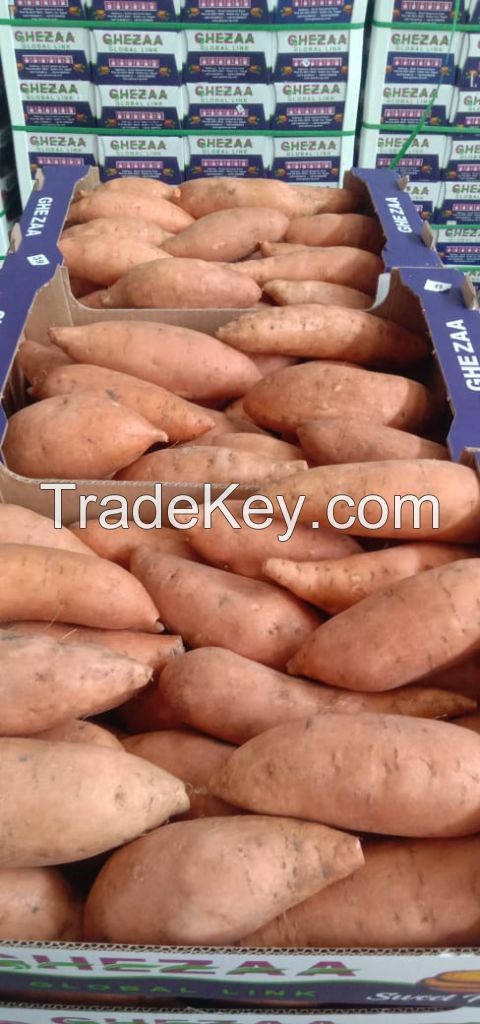 Fresh Sweet Potatoes